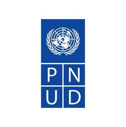 Logo PNUD